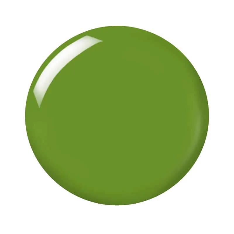 Air Breathable Nail Paint | Fern