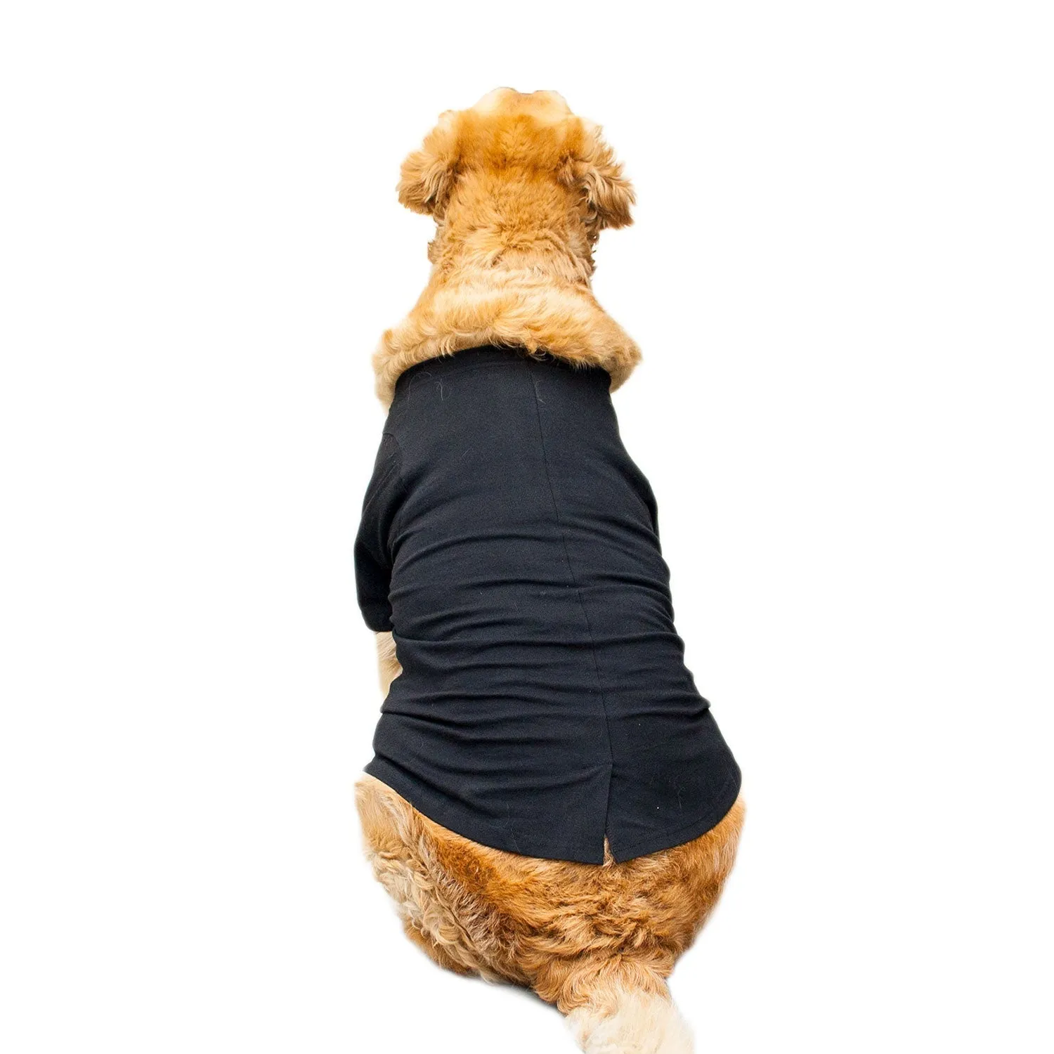 Easy Breezy Pet Tuxedo by Ruse