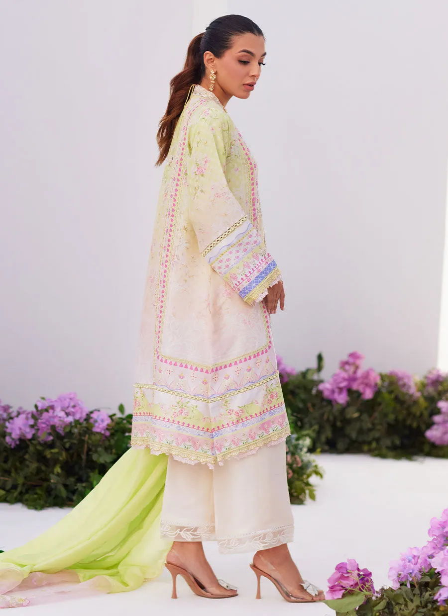 Zaza Prints '24 - Pear Ombrã££ˆ Shirt And Dupatta